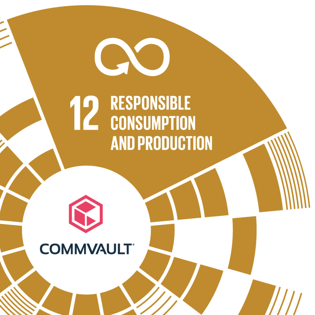 Goal 12: Responsible Consumption and Production